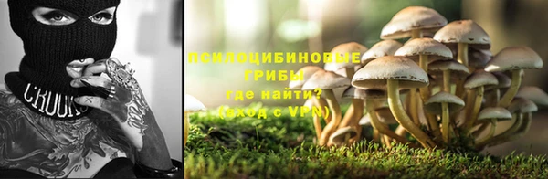 spice Володарск